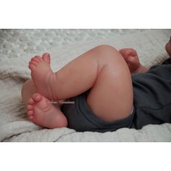 Braulio by IllusionBaby With Certificate of Authenticity