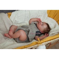 Braulio by IllusionBaby With Certificate of Authenticity