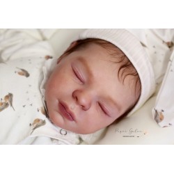 Braulio by IllusionBaby With Certificate of Authenticity