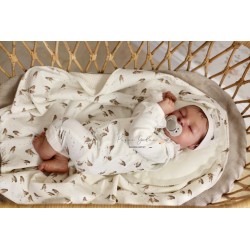 Braulio by IllusionBaby With Certificate of Authenticity