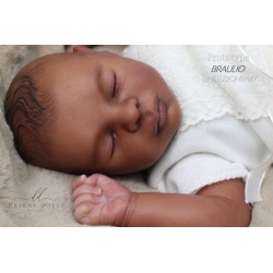 Braulio by IllusionBaby With Certificate of Authenticity