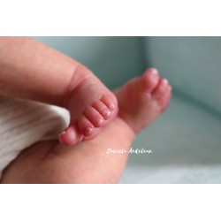 Braulio by IllusionBaby With Certificate of Authenticity