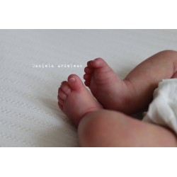 Braulio by IllusionBaby With Certificate of Authenticity