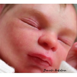 Braulio by IllusionBaby With Certificate of Authenticity