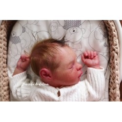 Braulio por IllusionBaby com certificado de autenticidade