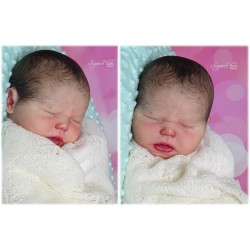 Harlow Dormido by Realborn