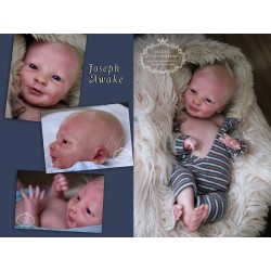 Joseph Akawe by Realborn®