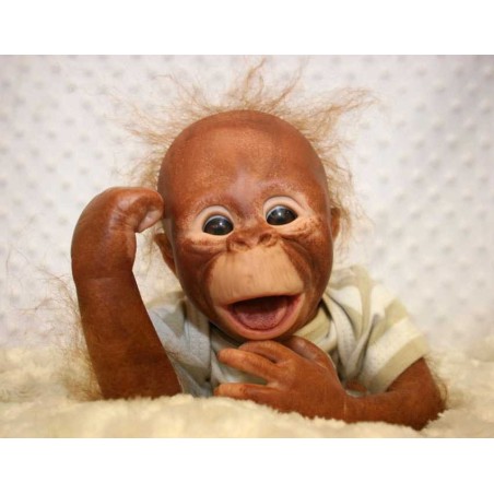 Binki Baby Orangutans by Denise Pratt!