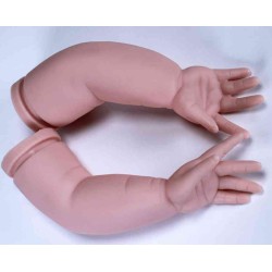 Nikolas by Pat Moulton