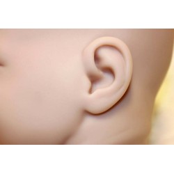 Eliza by Donna Rubert