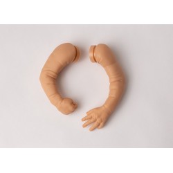 Fawna pre-pintada de Cindy Musgrove