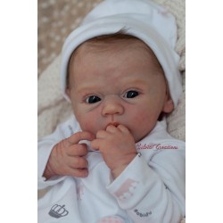 Eloisa de Andrea Arcello