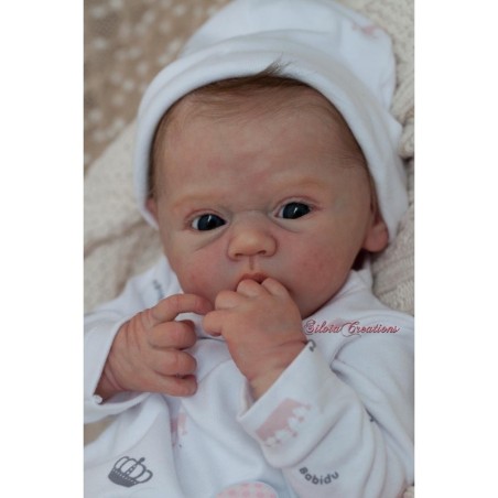 Eloisa de Andrea Arcello