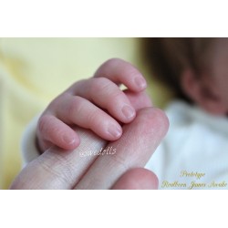 James despierto da Realborn®