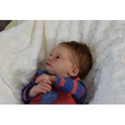 James despierto da Realborn®