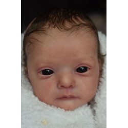 Ana by Gudrun Legler