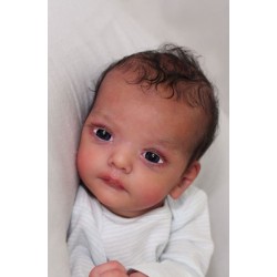 Ana de Gudrun Legler