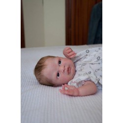 Frankie by Denise Pratt