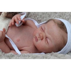 Sandy Faber's Benji girl body with connectors