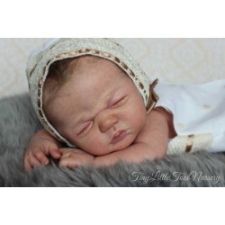 Sandy Faber's Benji boy body with connectors