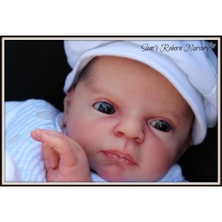 Verão por Reva Schick