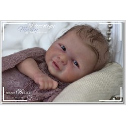 Marty de Iveta Eckertova