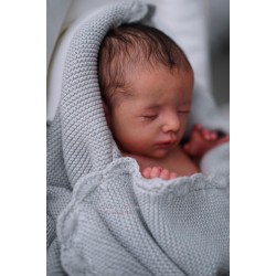 Lore de Karola Wegerich