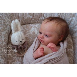 Phineas Despierto de Realborn®