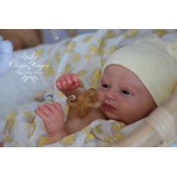 Phineas Despierto de Realborn®