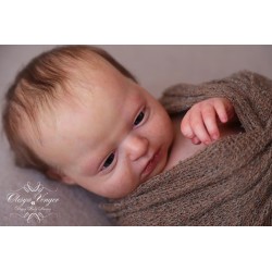 Phineas Despierto de Realborn®