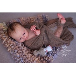 Phineas Despierto por Realborn®