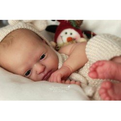 Phineas Despierto por Realborn®