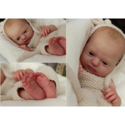 Phineas Despierto de Realborn®