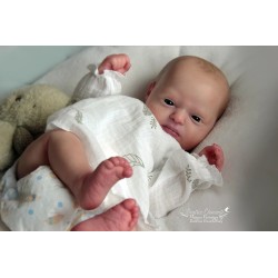 Phineas Despierto de Realborn®