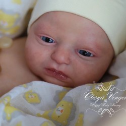 Phineas Despierto de Realborn®