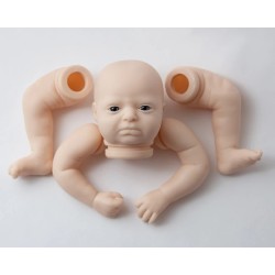 Phineas Despierto de Realborn®