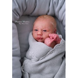 Alma Despierta por Realborn®