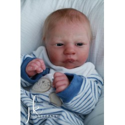 Alma Despierta de Realborn®