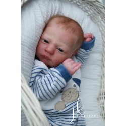 Alma Despierta de Realborn®