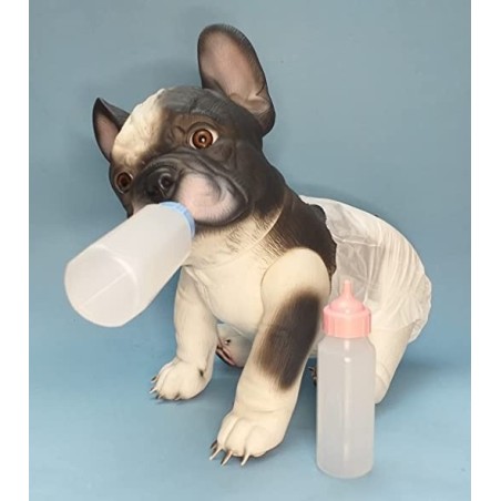 Semi Hard Vinyl Funny Dog