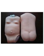 Placas Barrigita y Torsos